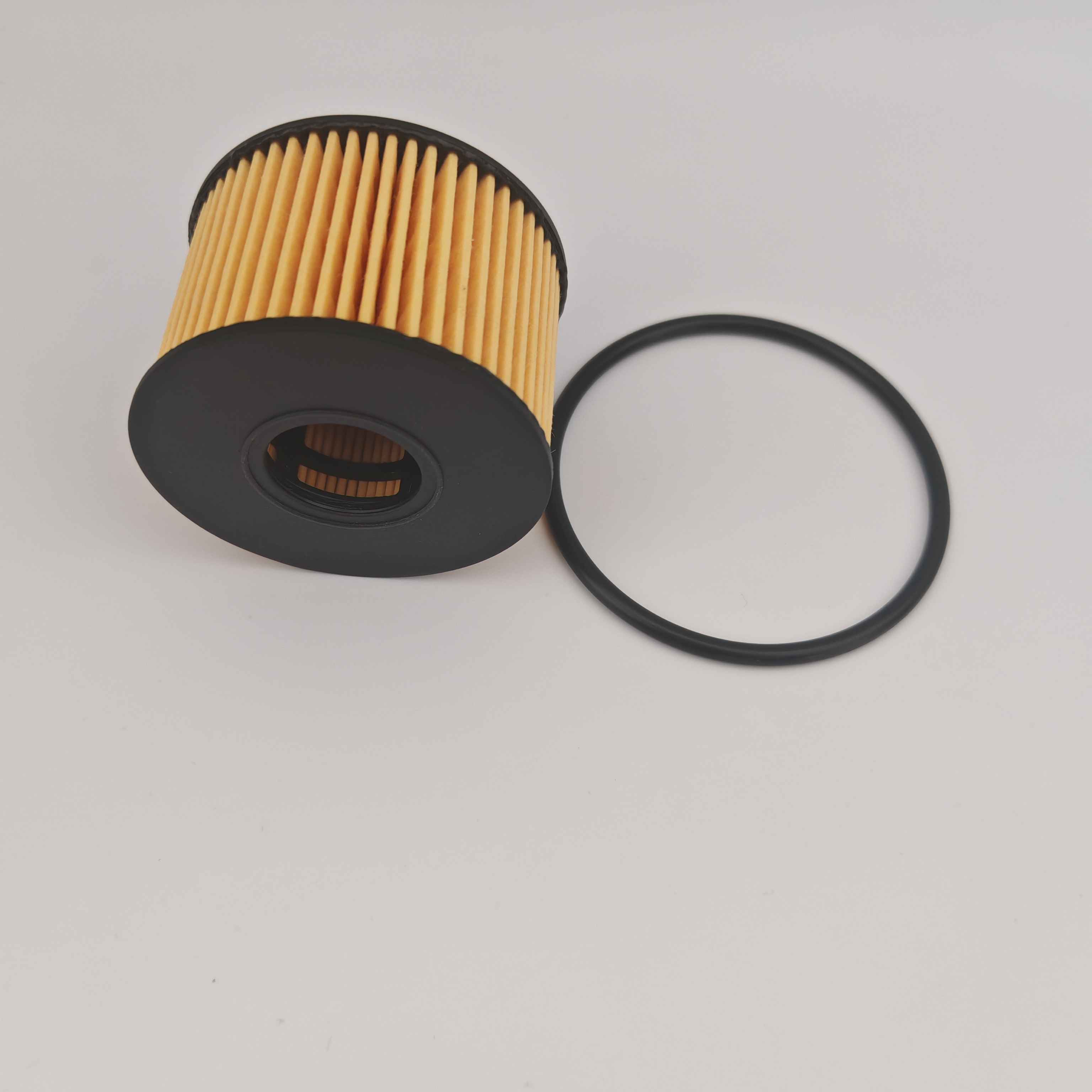 MS1-6744-AA OX1243D FOH5013 ზეთის ფილტრი JMC- სთვის